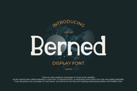 Berned Font: Quirky Display Typography for Web Design