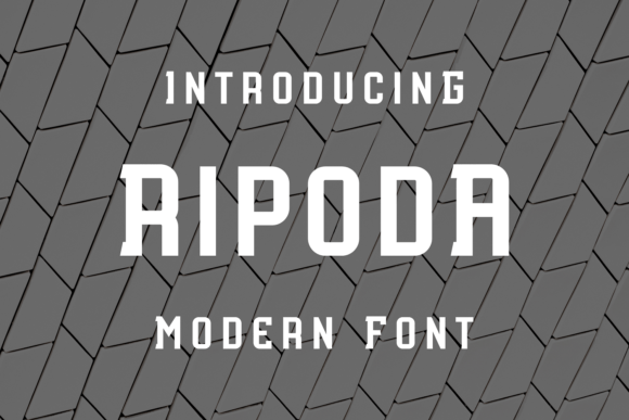 Ripoda Font Review: A Unique Display Typeface for Web Design